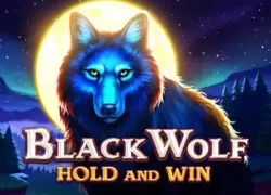 Black Wolf Hold and Win